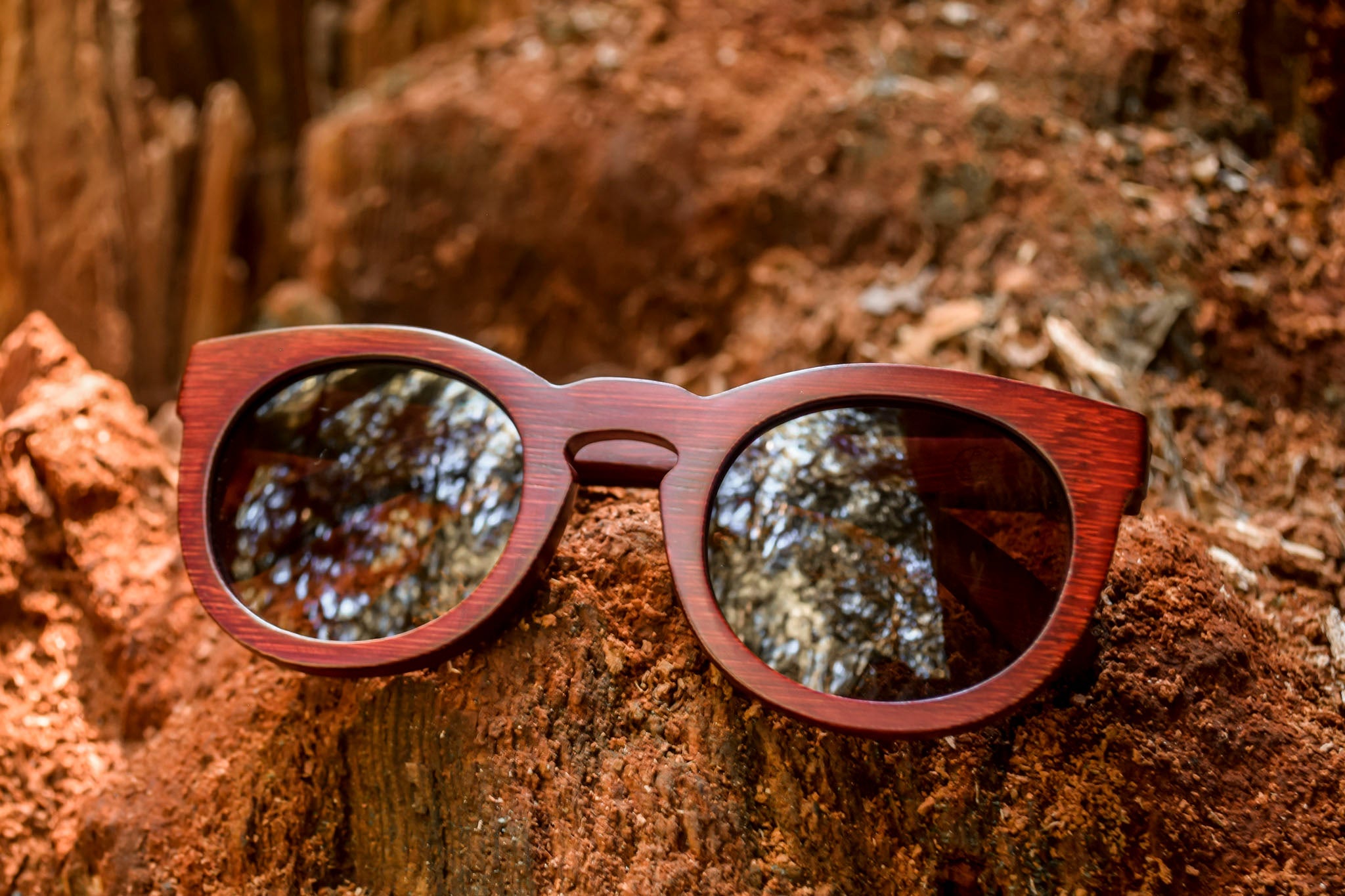Owl Prowl | Polarized Bamboo Sunglasses by Bambuddha-6