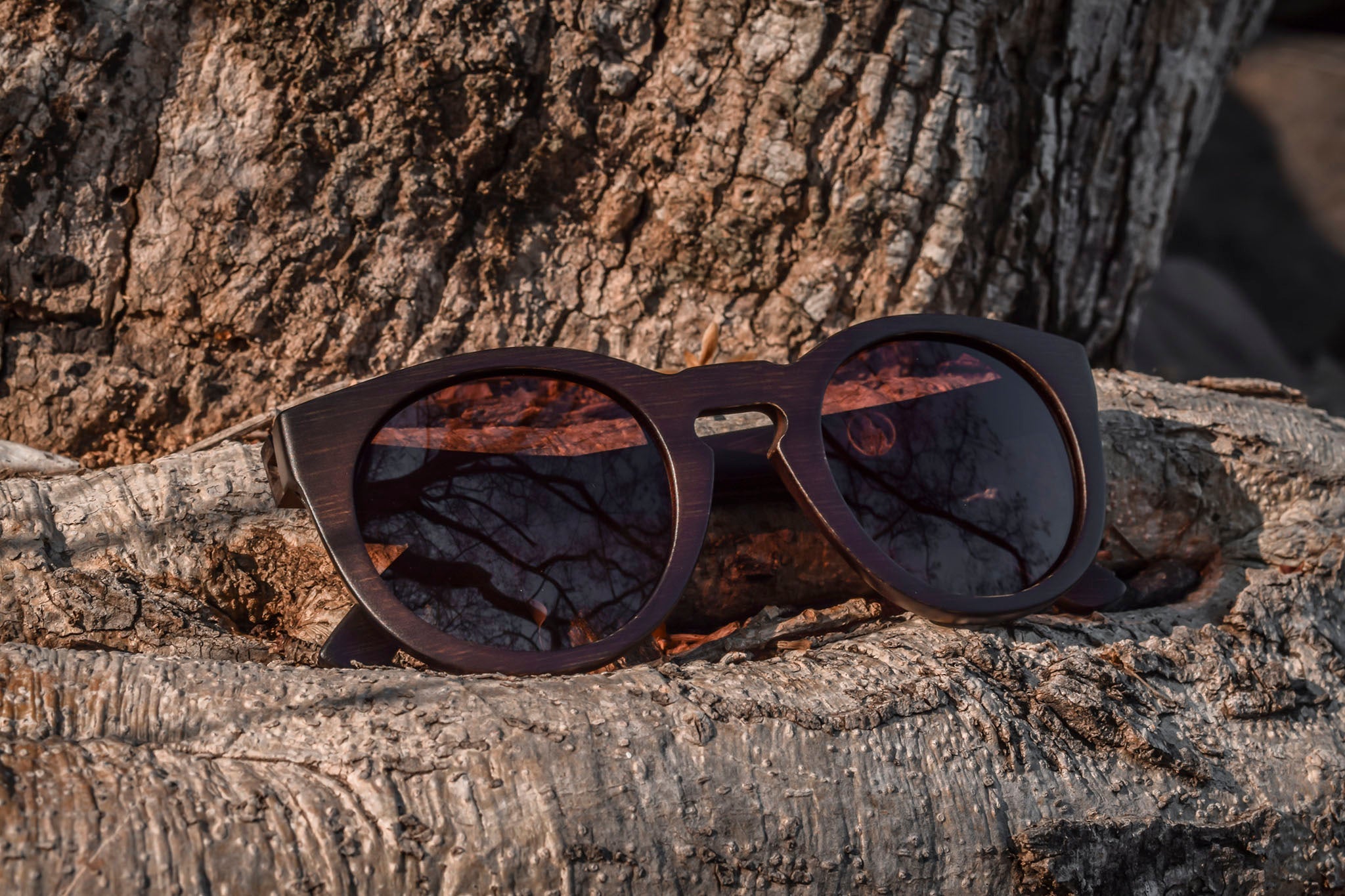 Owl Prowl | Polarized Bamboo Sunglasses by Bambuddha-2