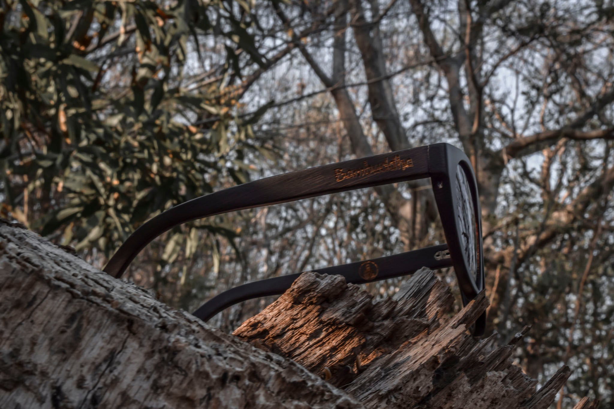 Owl Prowl | Polarized Bamboo Sunglasses by Bambuddha-4
