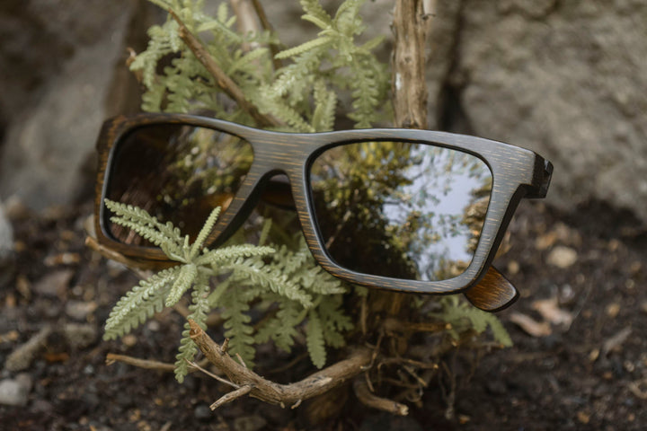 The Sir | Polarized Bamboo Sunglasses by Bambuddha-2